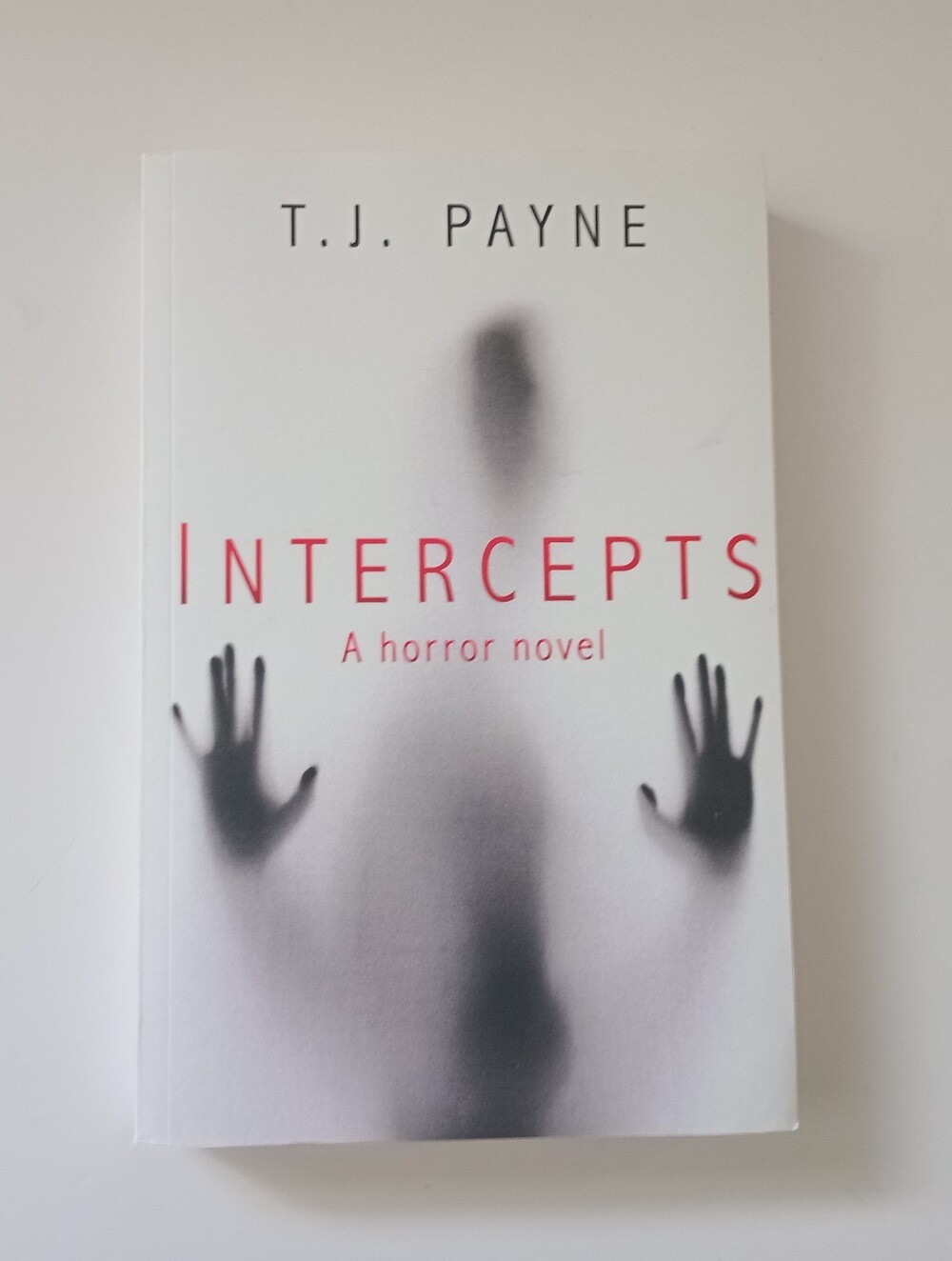 T.J. Payne Intercepts Horror Novel 2019 Tunnel Falls Paperback Indie Edition